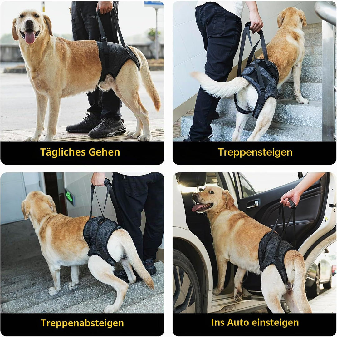 HEYWEAN Tragehilfe mit Handgriff für Hinterbeine - Tragegeschirr für Kleine Mittlere Grosse Hunde -