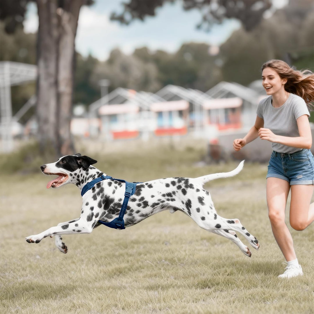 No Pull Hundegeschirr mit weicher Lycra-Polsterung, atmungsaktiver Komfortweste aus Mesh, Verstellba
