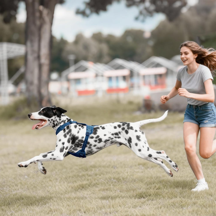 No Pull Hundegeschirr mit weicher Lycra-Polsterung, atmungsaktiver Komfortweste aus Mesh, Verstellba