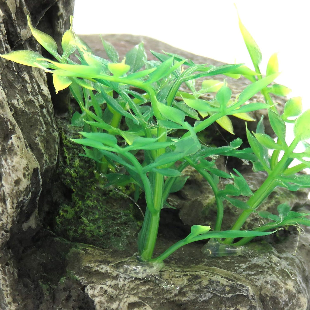 CLASSIC Petblis Rocky Ledge 22,9 cm, 100 g