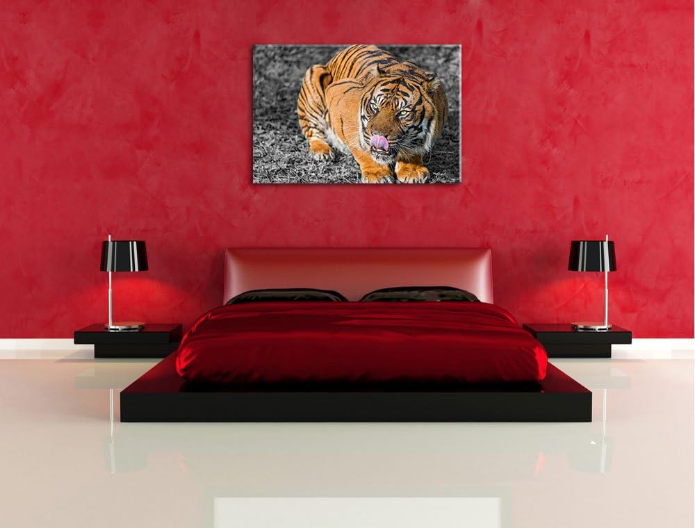 Pixxprint grosser Tiger schwarz/weiss auf Leinwand, XXL riesige Bilder fertig gerahmt mit Keilrahmen