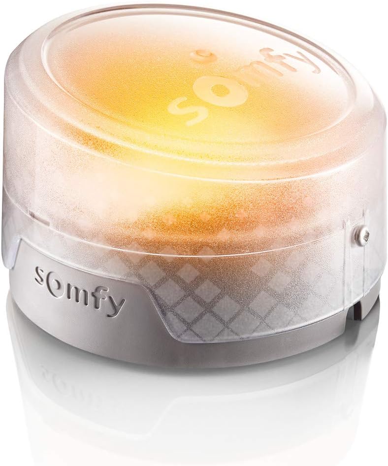 Somfy 2401584 – LED Lampe für Torantrieb oder Garage | Auswahl der Farbe Orange oder Weiss