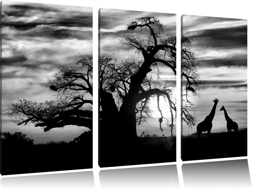 Pixxprint Zwei Giraffen in der Wüste als Leinwandbild/Grösse: 3 Teilig (120x80) cm/Wandbild/Kunstdru