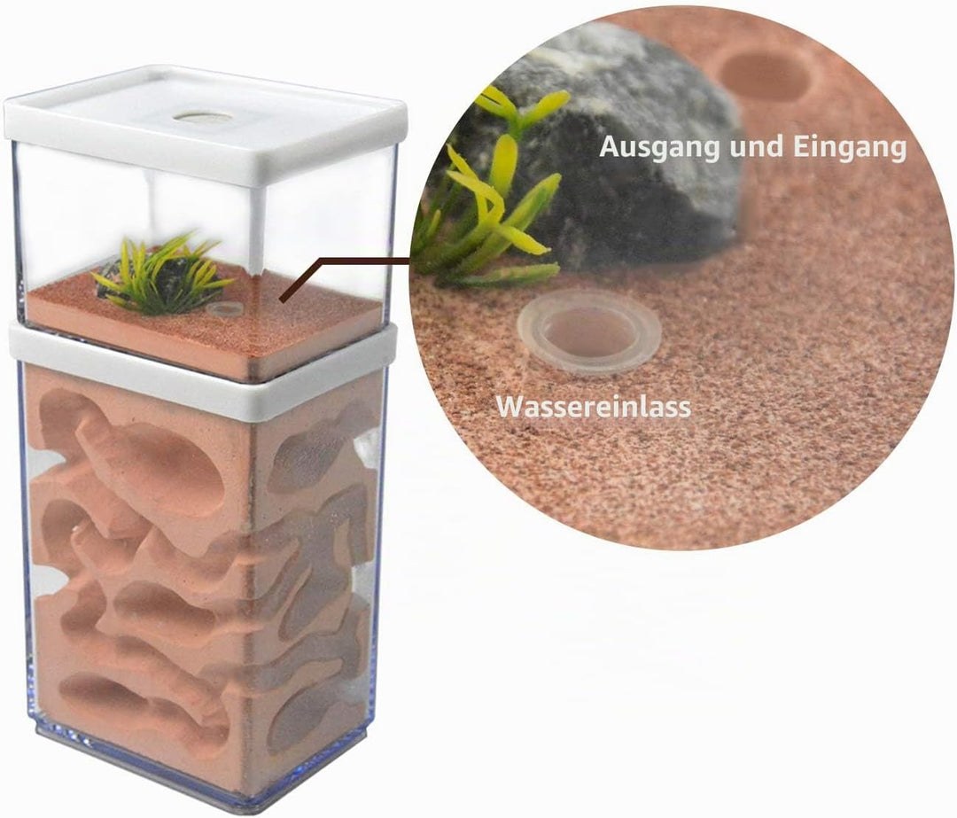 aleawol Natürliche Ameisenfarm Ameisennest Formicarium aus Gips Transparentes Ameisenhaus Ameisen Zu