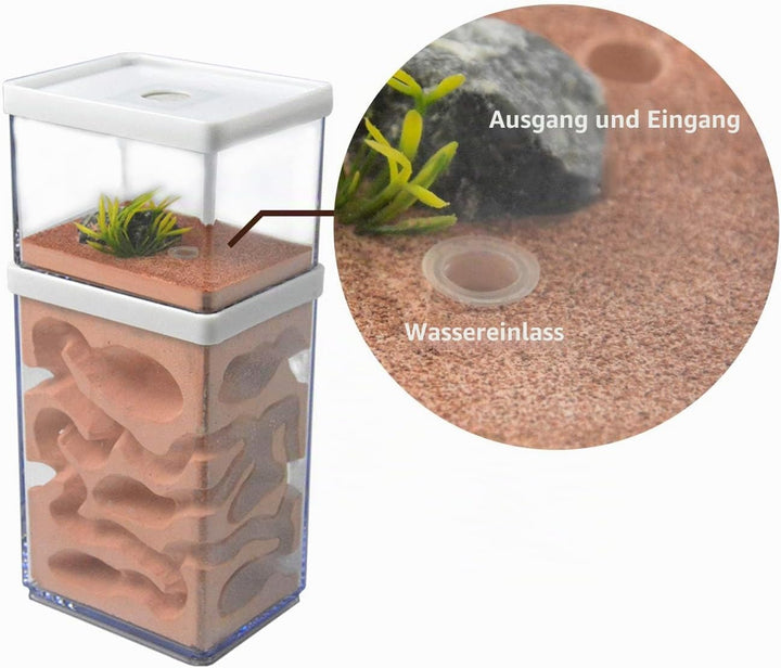 aleawol Natürliche Ameisenfarm Ameisennest Formicarium aus Gips Transparentes Ameisenhaus Ameisen Zu