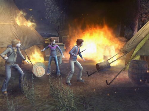 Harry Potter und der Feuerkelch GameCube Standard, GameCube Standard