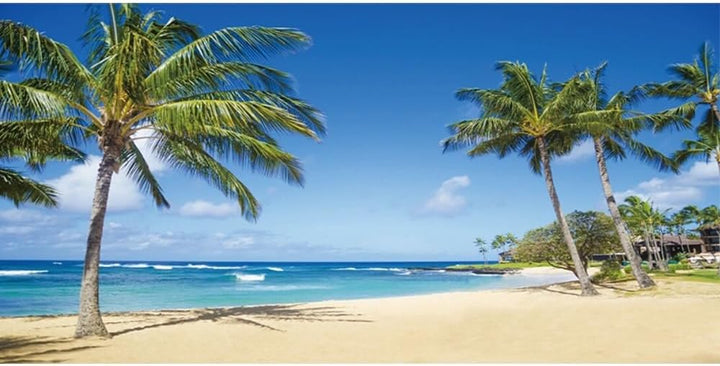 Renaiss 4.5x2.5m Sommer Strand Hintergrund Tropischer Ozean Sandstrand Palmen Fotografie Hintergrund