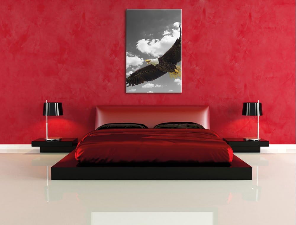 Pixxprint prächtiger Weisskopfseeadler im Flug als Leinwandbild/Grösse: 120x80 cm/Wandbild/Kunstdruc
