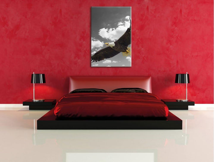 Pixxprint prächtiger Weisskopfseeadler im Flug als Leinwandbild/Grösse: 120x80 cm/Wandbild/Kunstdruc