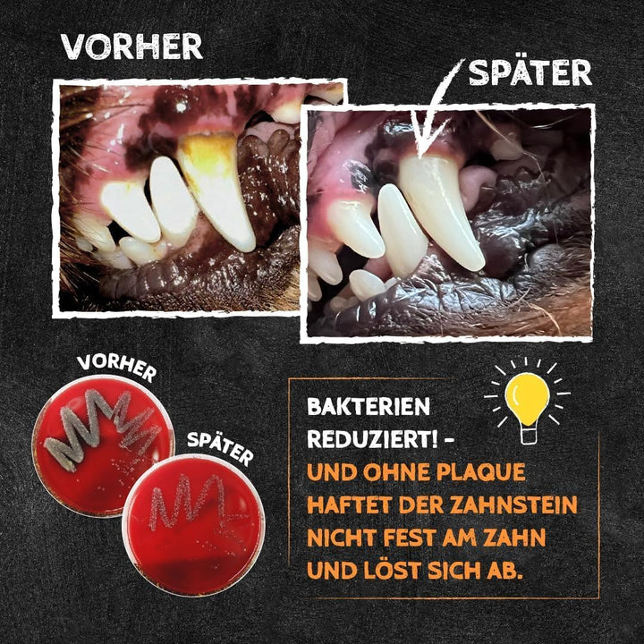 Grosspackung & Leckmatte-UFO Pink als Schleckmatte Hund nach dem Hundefutter und als Hundezubehör zu