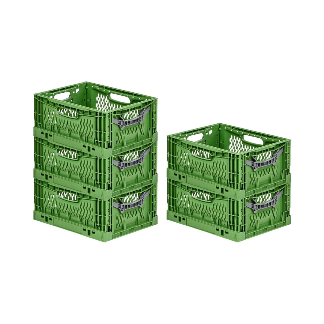 PROREGAL SuperSparSet 5x Stabile Profi-Klappbox Chameleon in Industriequalität | HxBxT 18x30x40cm |