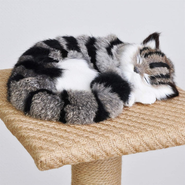 VOSS.PET Kratzbaum Jasper 62cm, beige, Katzenbaum, Katzenspielbaum, Katzenkratzbaum, Kratzmöbel