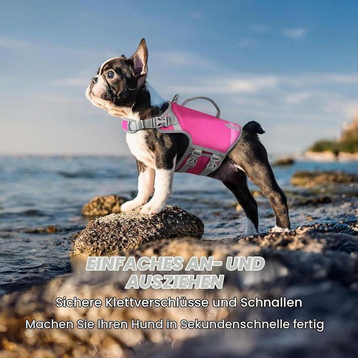 VIVAGLORY Hunde Schwimmweste Neoprene Hundeschwimmweste, S, Windrosa | Verstellbar &amp; Auftrieb for Hu