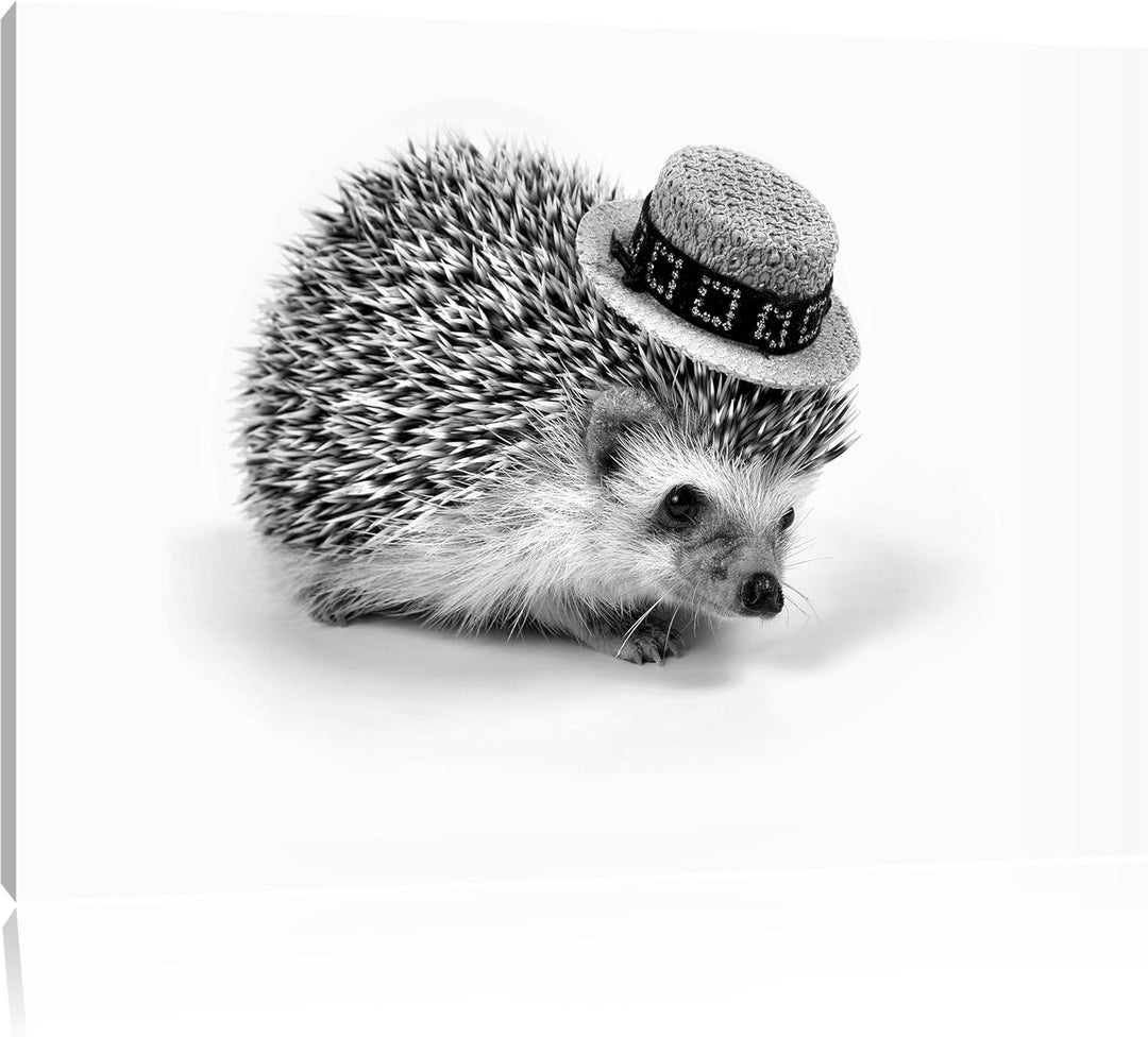 Pixxprint Monocrome, Lustiger Igel mit Hut, Format: 100x70 auf Leinwand, riesige Bilder fertig gerah