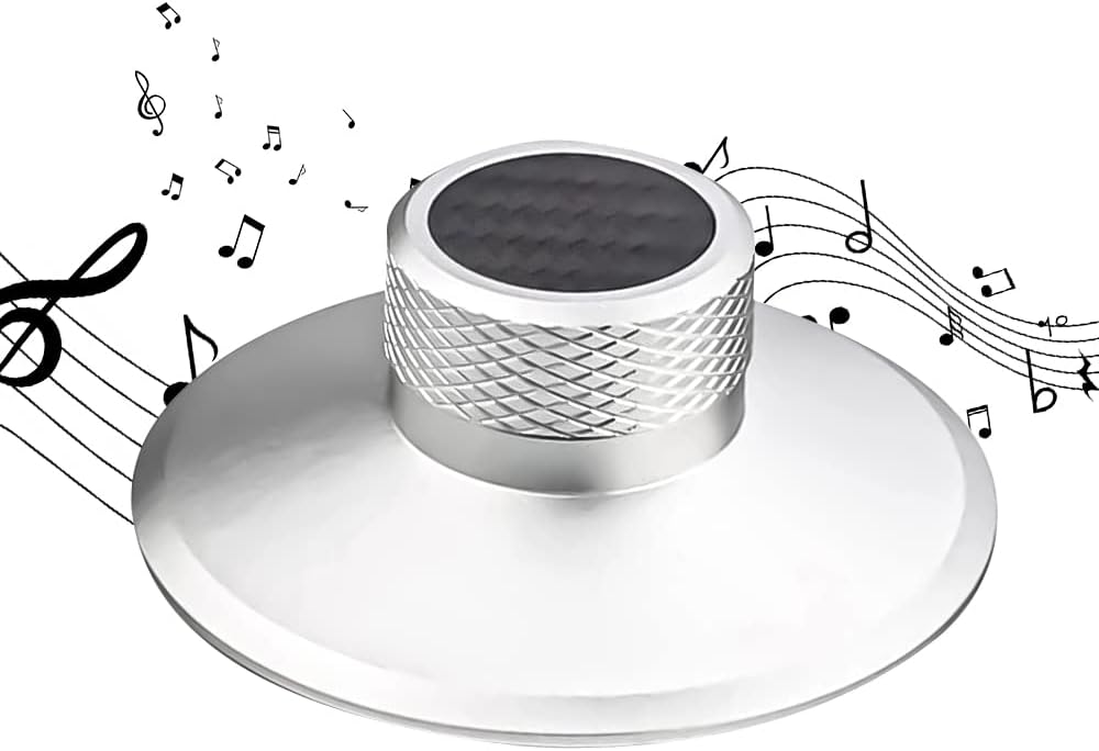 Brollitest Carbonfaser-Schallplattengewichtsscheibe, Vinyl-Gewichtsstabilisator, Schallplattenklamme