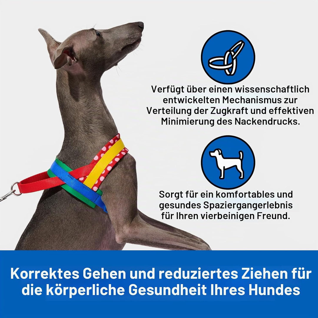 VETRESKA MoMA Hundegeschirr und Leine, Easy Walk Hundegeschirr für grosse Hunde, kein Ziehen, Welpen