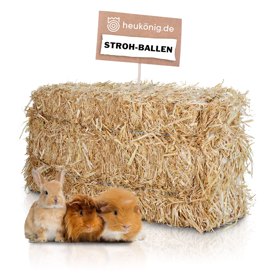 Weizenstroh Ballen ca. 12 kg aus dem Rheinland in Bester Qualität von Heukönig 12 kg (1er Pack), 12