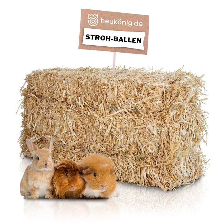Weizenstroh Ballen ca. 12 kg aus dem Rheinland in Bester Qualität von Heukönig 12 kg (1er Pack), 12