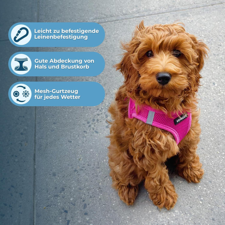 Voyager Step-In Air Hundegeschirr by Best Pet Supplies - All Weather Mesh Step in Vest Harness für k