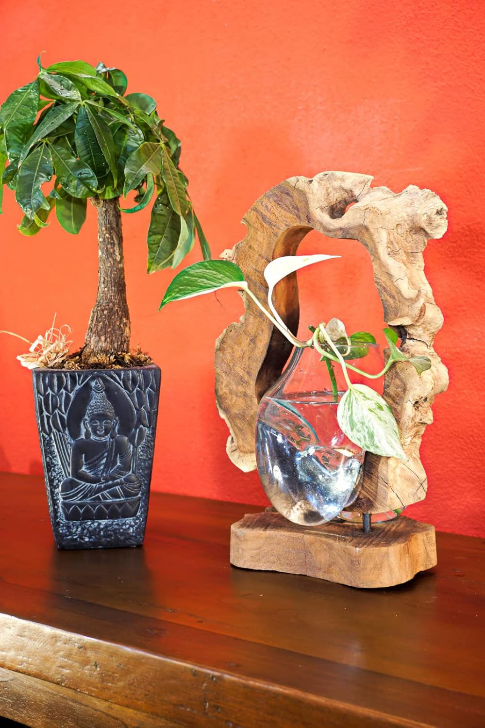 Kinaree Geschmolzenes Glas auf Wurzelholz - Glasschale auf Wurzel - Teak Holz mit Glasvase oder Scha