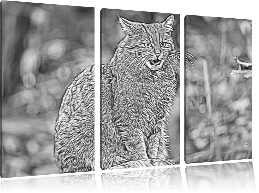 bildschöne Manul auf Baumstamm schwarz/weiss Deluxe 3-Teiler Leinwandbild 120x80 Bild auf Leinwand,