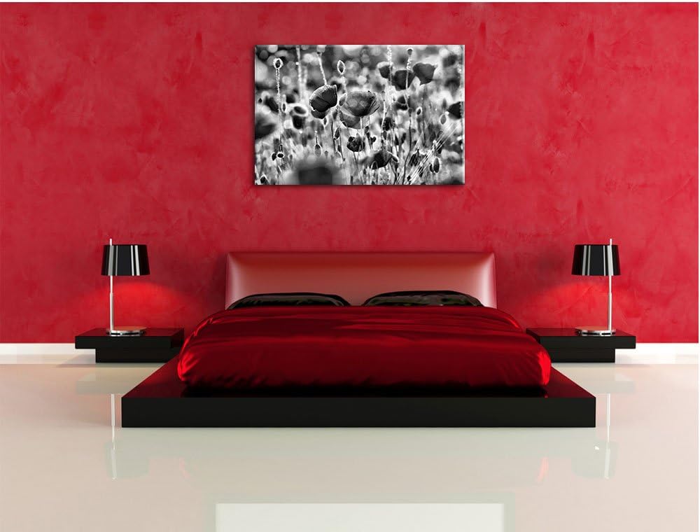 Monocrome, Mohnwiese, Format: 100x70 auf Leinwand, XXL riesige Bilder fertig gerahmt mit Keilrahmen,