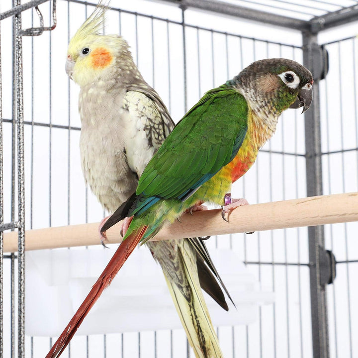 Yaheetech Vogelvoliere Vogelkäfig 2 Türen Vogelhaus Käfig mit 4 Rollen Nagervoliere 131cm hoch