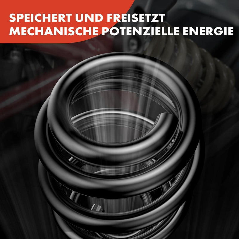 Frankberg 2x Federn Fahrwerksfeder Hinterachse Kompatibel mit 6 Kombi GH 1.8L 2.0L 2007-2013 Replace