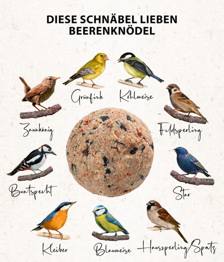 Dehner Natura Premium Meisenknödel ohne Netz, Beerenknödel, ganzjähriges Wildvogelfutter proteinreic