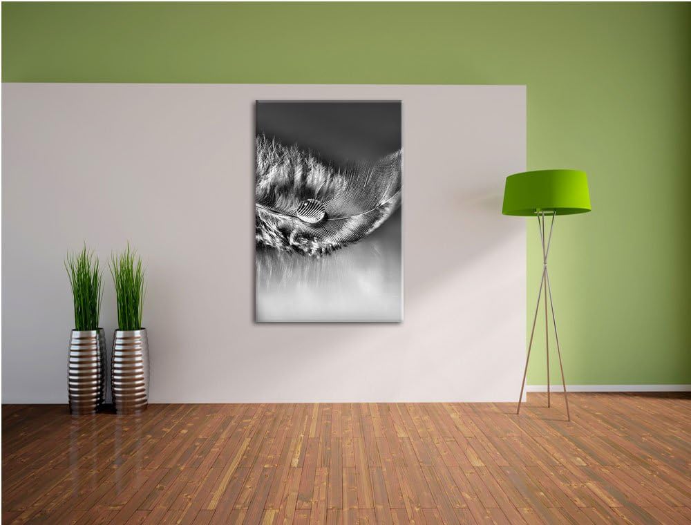 Pixxprint Wassertropfen auf Feder als Leinwandbild/Grösse: 100x70 / Wandbild/Kunstdruck/fertig bespa