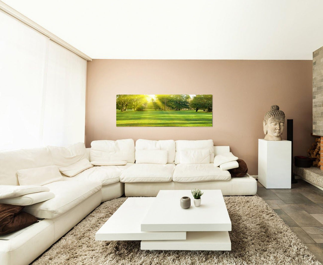 Paul Sinus Art Panoramabild auf Leinwand und Keilrahmen 120x40cm Wiese Bäume Wald Sonnenstrahlen Frü