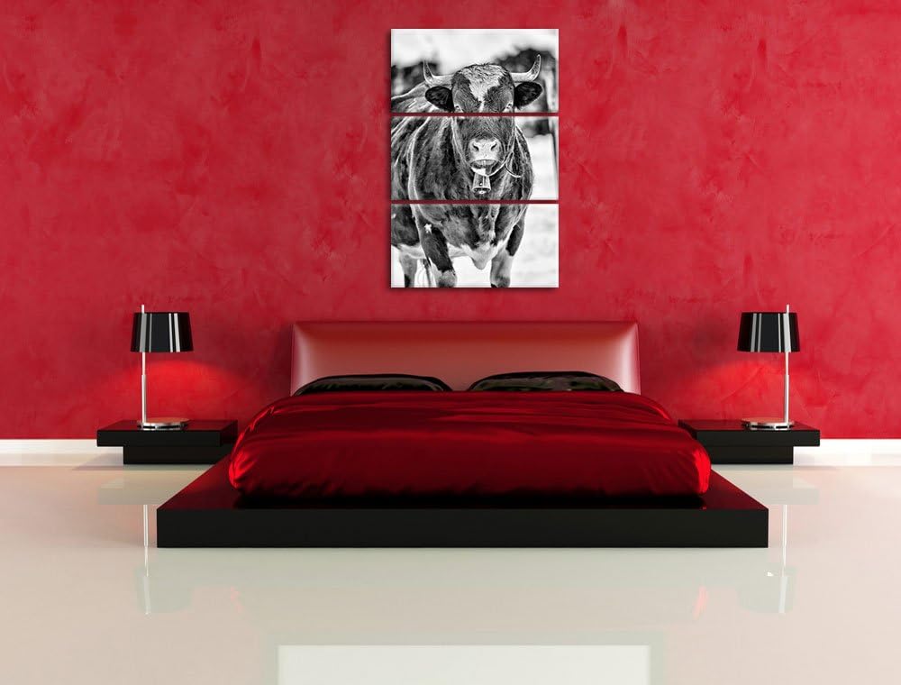 Pixxprint Kuhbullen in Schneelandschaft als Leinwandbild/Grösse: 3 Teilig (120x80) cm/Wandbild/Kunst