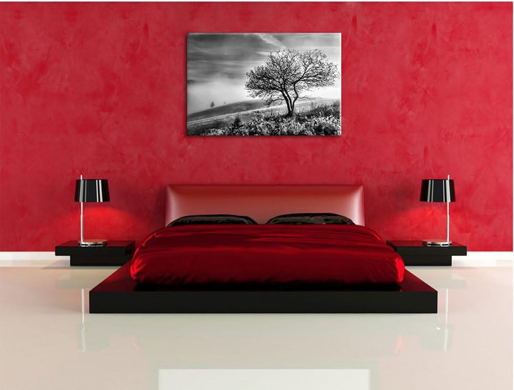 Pixxprint Monocrome, Baum im hohen Gras schwarz weiss, Format: 100x70 auf Leinwand, XXL riesige Bild