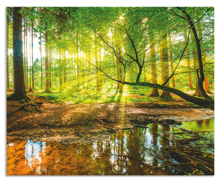 ARTland Spritzschutz Küche aus Alu für Herd Spüle 65x80 cm (BxH) Küchenrückwand mit Motiv Natur Land