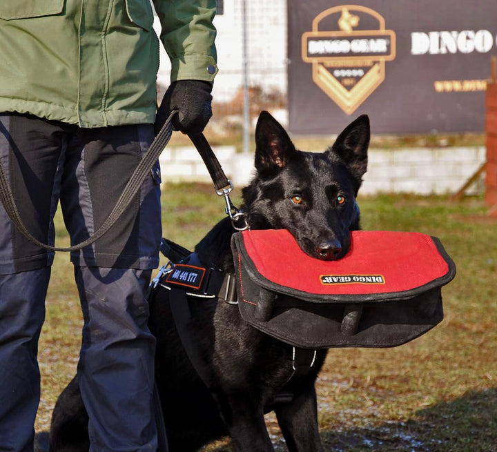 Dingo Gear Beisskissen Keilform Gizmo aus Baumwolle-Nylon Rot Ausbildung IGP IPO K9 S00517 Baumwolle