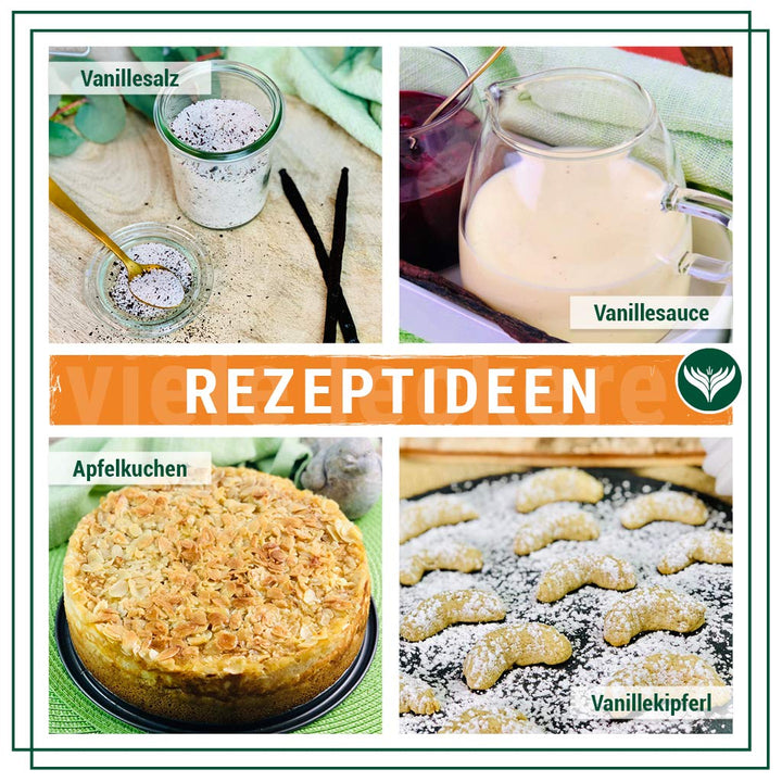 Azafran Bourbon Vanille, Madagaskar Vanillepulver, Vanilleschoten gemahlen (Vanillestangen ganz) 50g