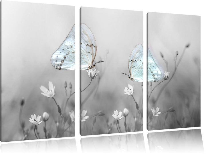 Pixxprint Schmetterling auf kleinen Blumen als Leinwandbild/Grösse: 3 Teilig (120x80 cm) cm/Wandbild