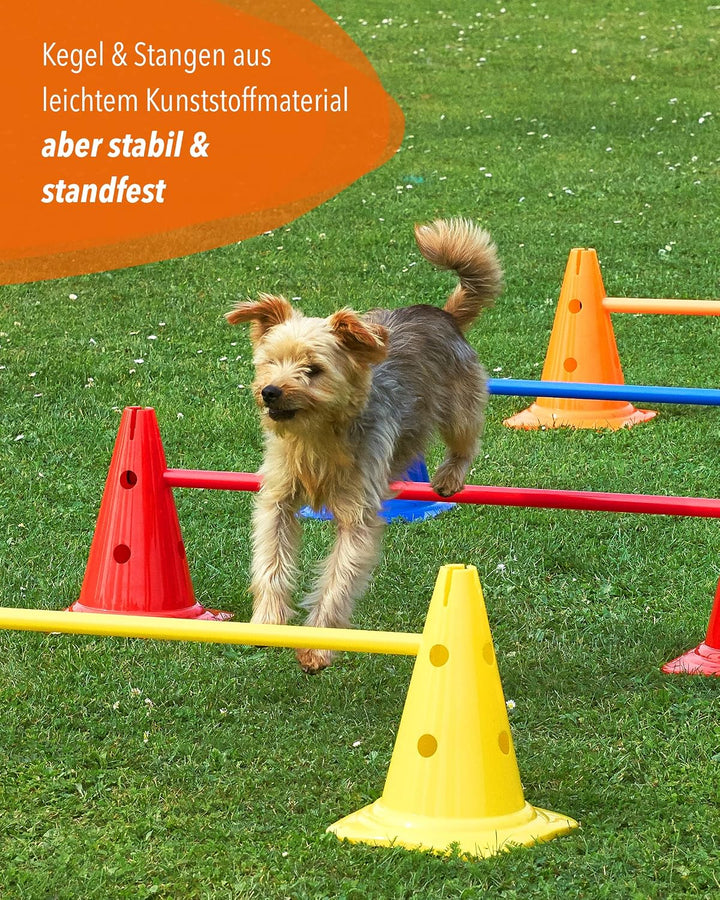 Kombi Kegel-Hürde 30 – 4er Set – Parcours-Hindernis für Agility-Training – Sprung- &amp; Slalom für Hund