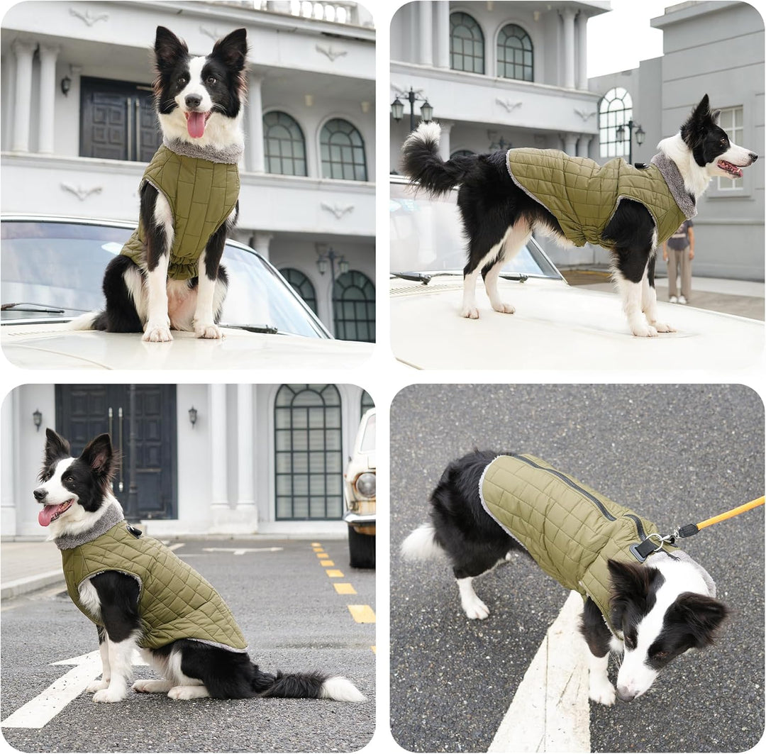 Warmer Fleece-Hundemantel mit strapazierfähigem Geschirr mit D-Ring, wasserdichte Welpenjacke für kl