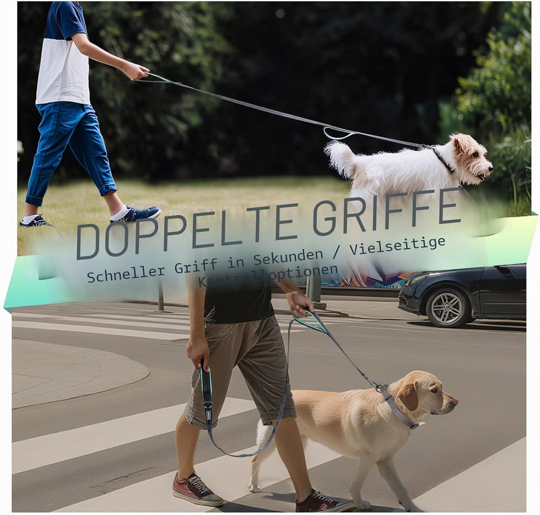 VIVAGLORY Twingrip Führleine Hund, Leine Hund Hausleine Joggingleine, Hundeleine mit 2 Griffen Doppe