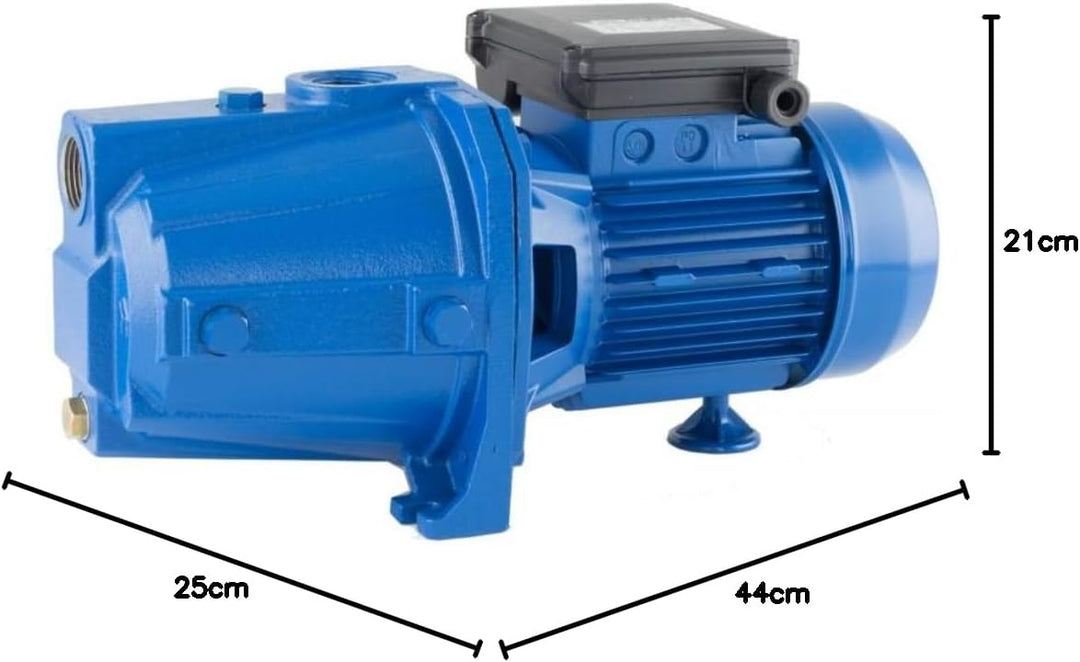 EBARA AGA Serie 1.00 M Elektropumpe einphasig selbstansaugend aus Gusseisen