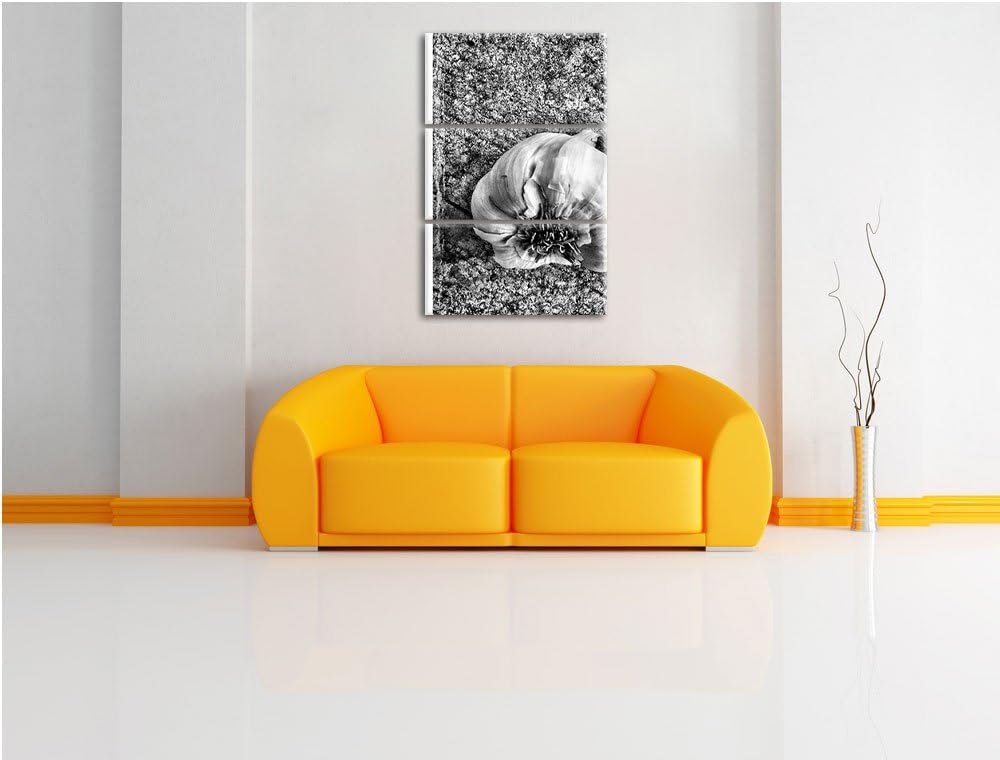 Pixxprint Zwei Knoblauchknollen als Leinwandbild/Grösse: 3 Teilig (120x80) cm/Wandbild/Kunstdruck/fe