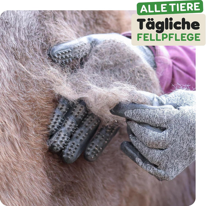 DR Zoo Gr. M Paar Fellpflegehandschuh zur Fellpflege durch Handschuh für Hund, Katze und Pferde, M