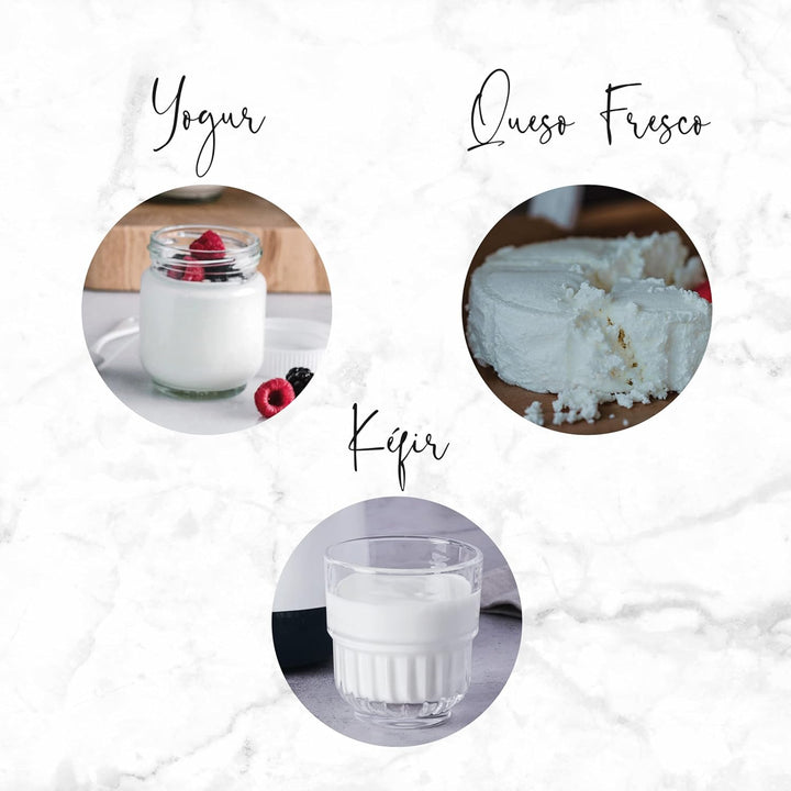 LACOR 69243 Supersillenciosa Maxi Joghurthersteller, Ideal für die Herstellung von Kefir, griechisch