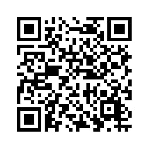 Smart Geiger FSG-001 Strahlenmessgerät für Smartphone iOS Andriod Strahlungsmessgerät Strahlung Dete