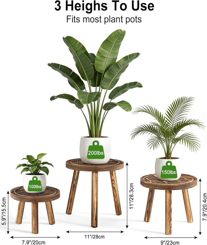 Blumenständer Holz 3er-Set, 5.9" 9/7.9"/11" Höhen Blumenhocker, Pflanzenständer Blumentopfständer Fü