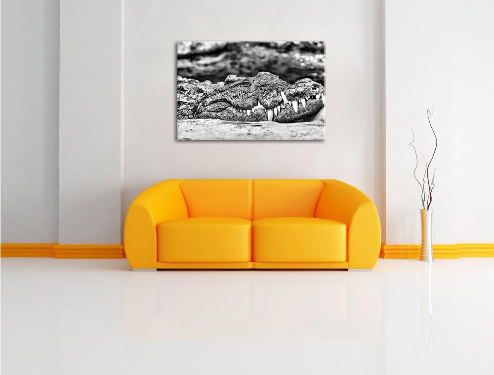 Pixxprint gigantisches Krokodil / 100x70cm Leinwandbild bespannt auf Holzrahmen/Wandbild Kunstdruck