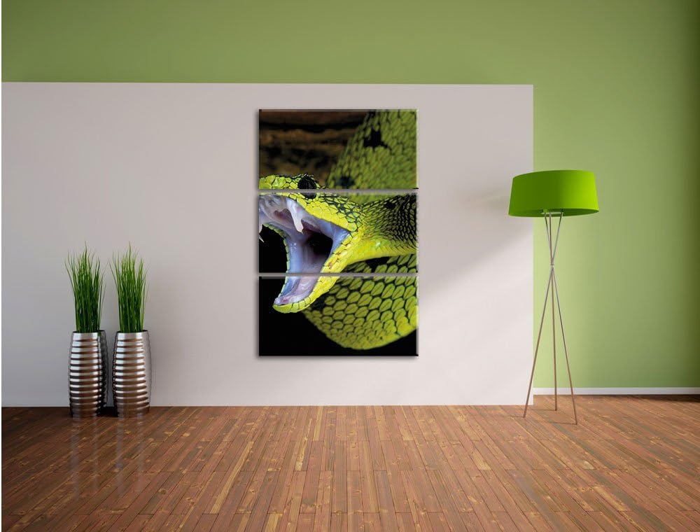 Pixxprint Giftige grüne Schlange als Leinwandbild/Grösse: 3 Teilig (120x80) cm/Wandbild/Kunstdruck/f