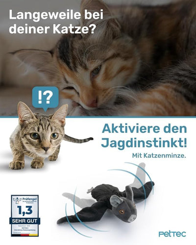 PetTec - Plush Toy Fledermaus Katzenspielzeug interaktiv zur Selbstbeschäftigung - Plüschtier Katze