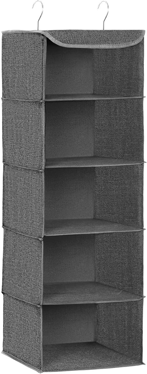 SONGMICS Hängeorganizer, 2er Set, Schrank-Organizer, Hängeregal, Hängeaufbewahrung, faltbar und plat